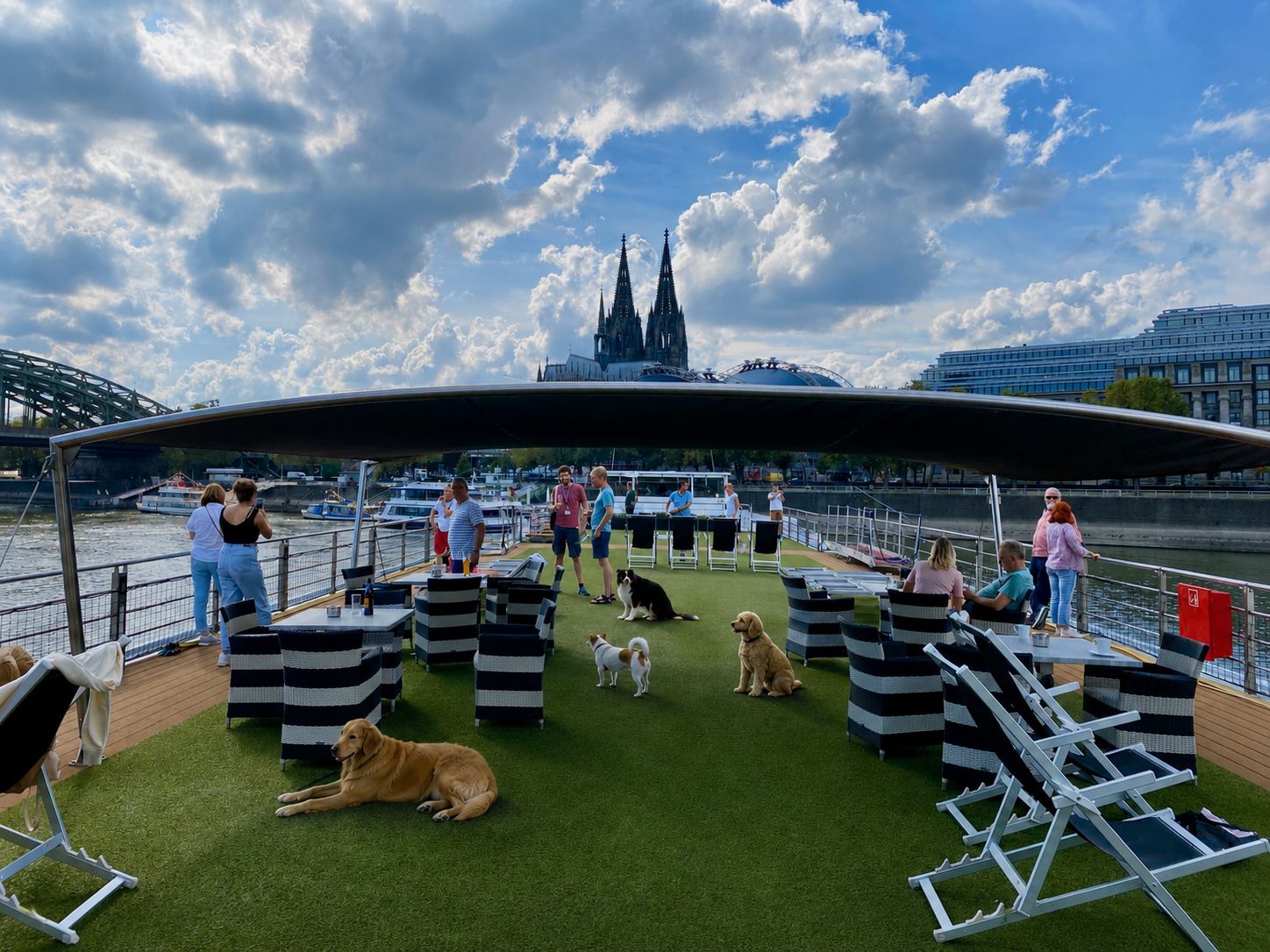Sonnendeck eines Flusskreuzfahrtschiffs mit Sitzbereichen und Gästen vor dem Kölner Dom während einer Reise mit Hunden