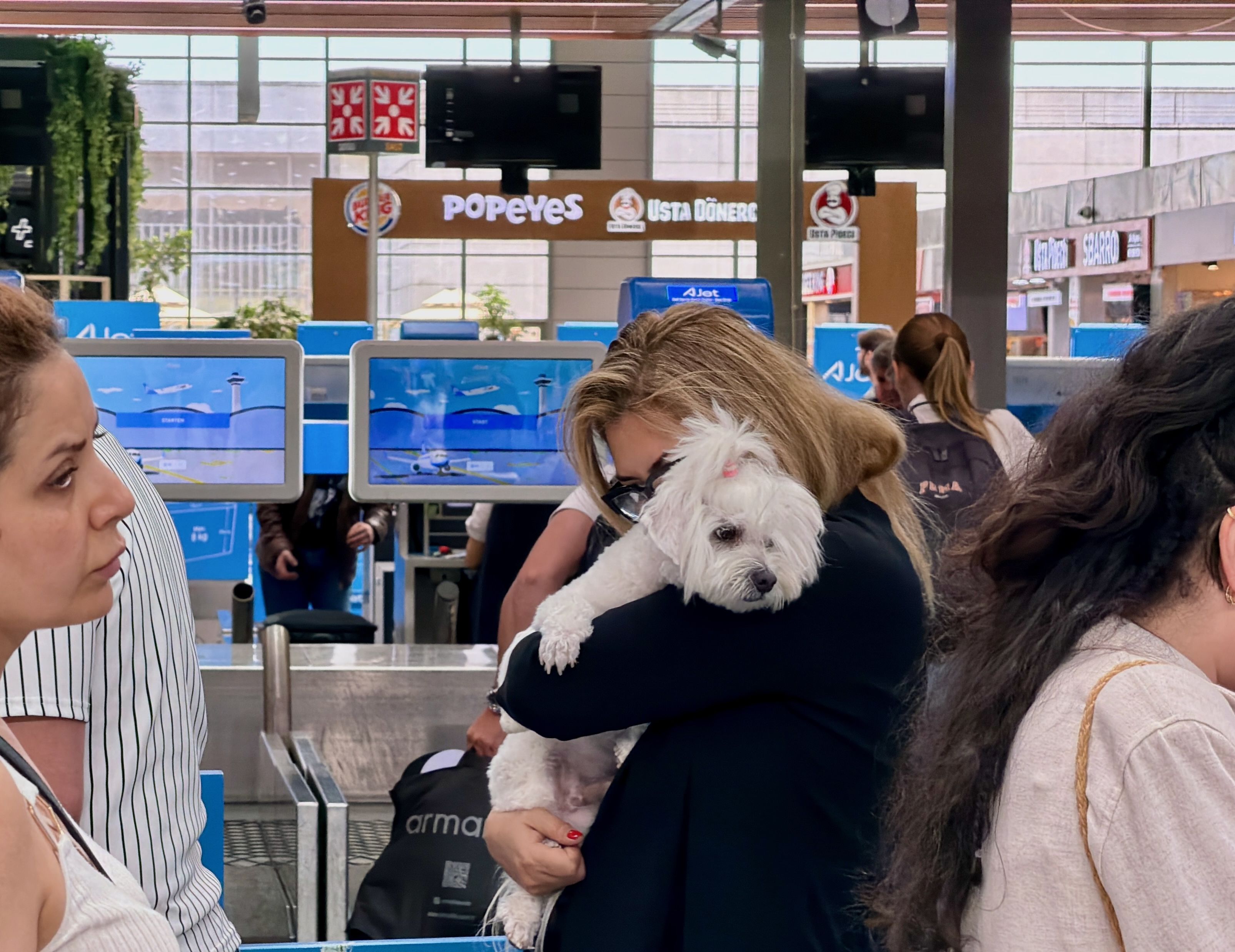 Kleiner Hund auf dem Arm am Flughafen vor dem Urlaub mit Hund