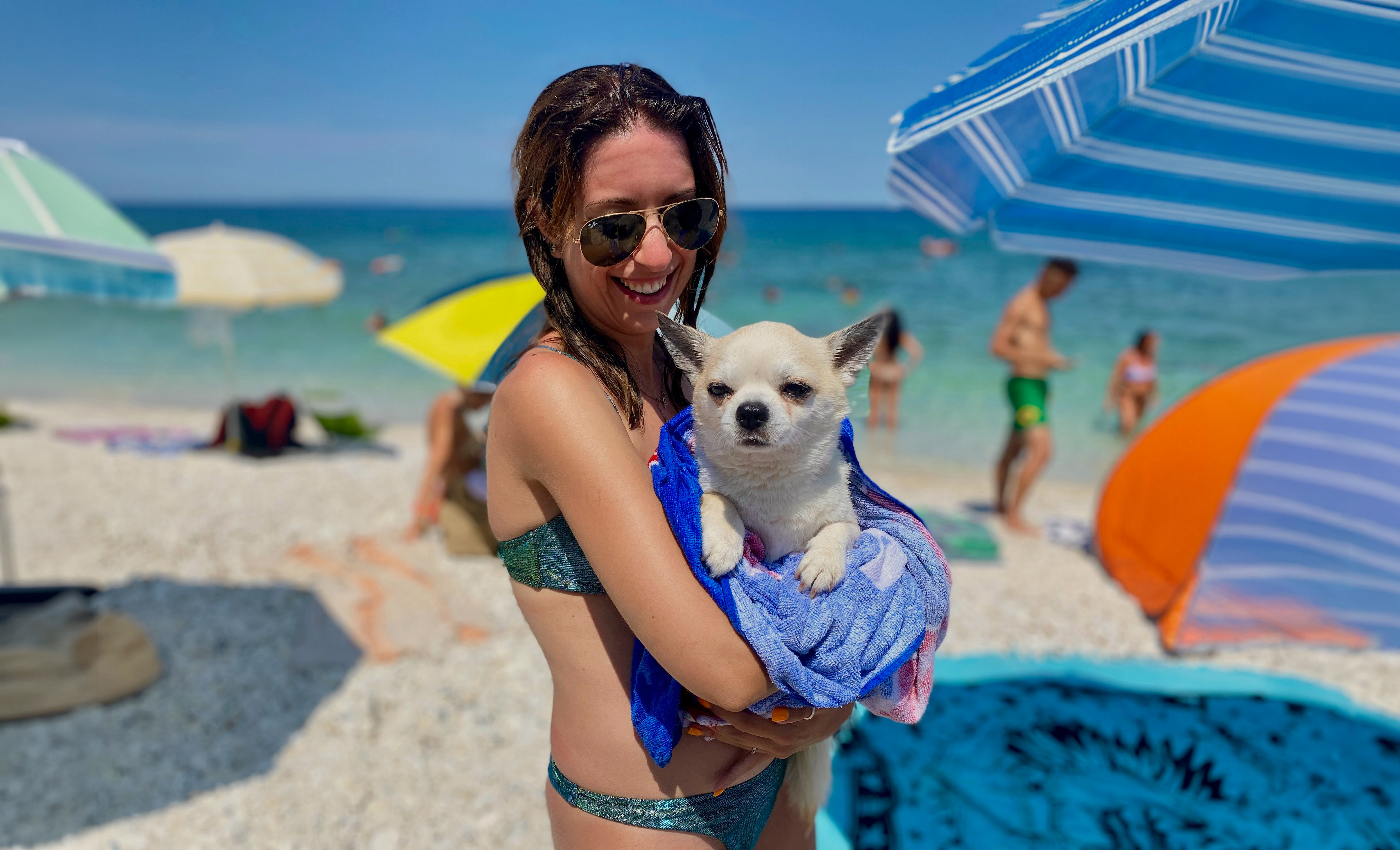 Frau mit Chihuahua am Strand im Urlaub mit Hund während einer Hundekreuzfahrt