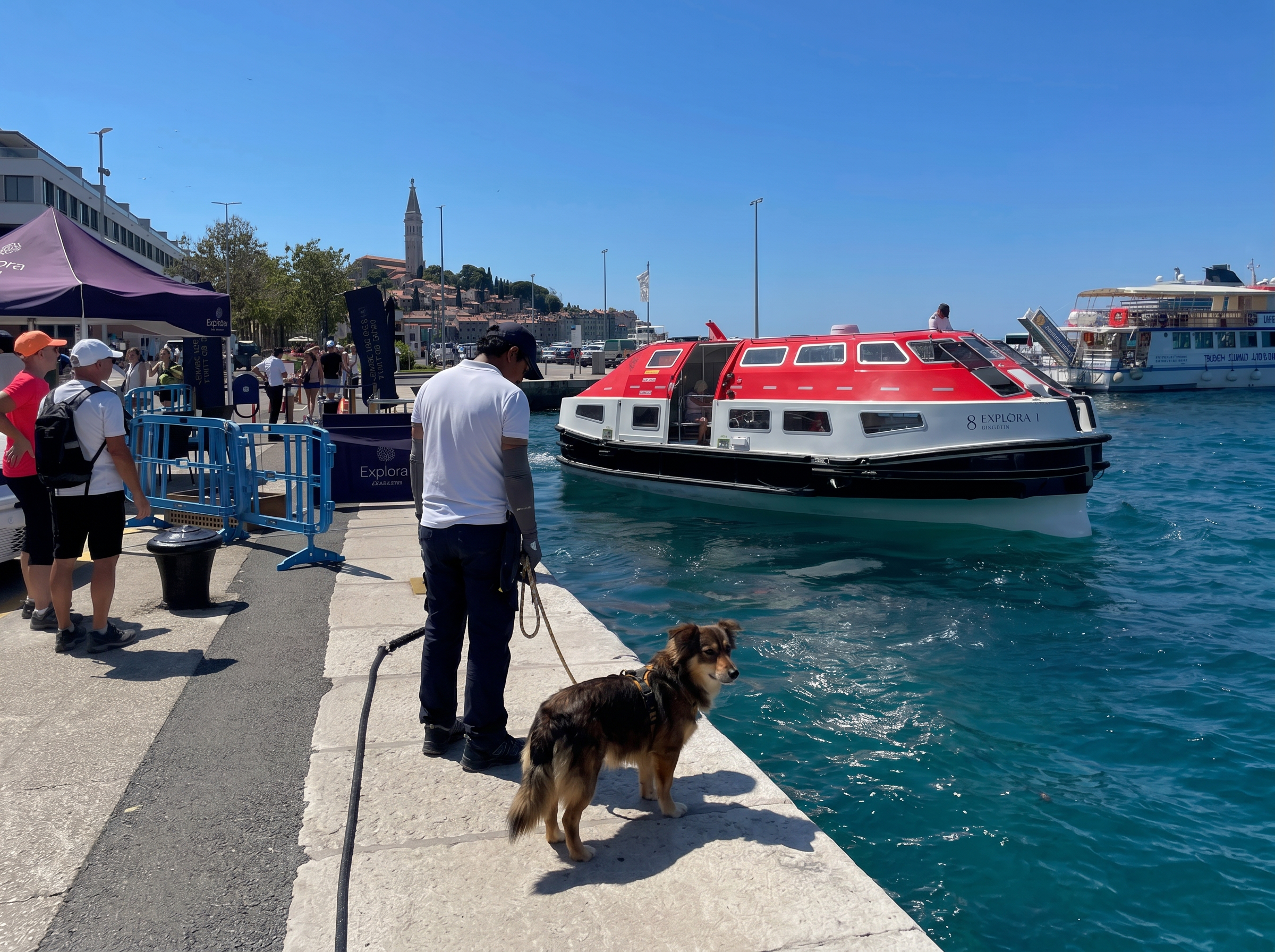 Hund mit Begleiter am Hafen vor einem Tenderboot einer Kreuzfahrt