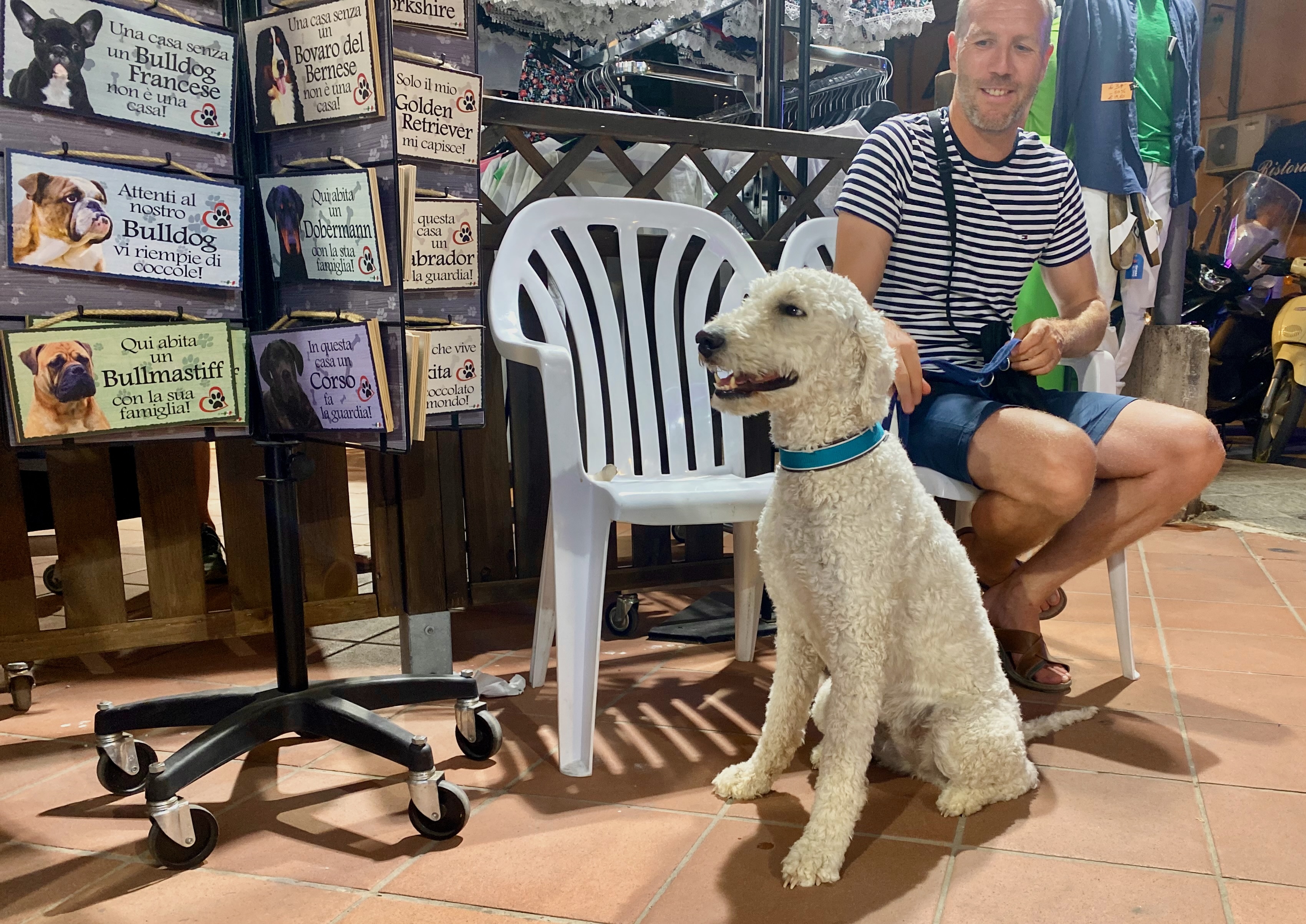 Hund in Italien neben Hinweisschildern als Symbol für Einreisebestimmungen und Hunderegeln