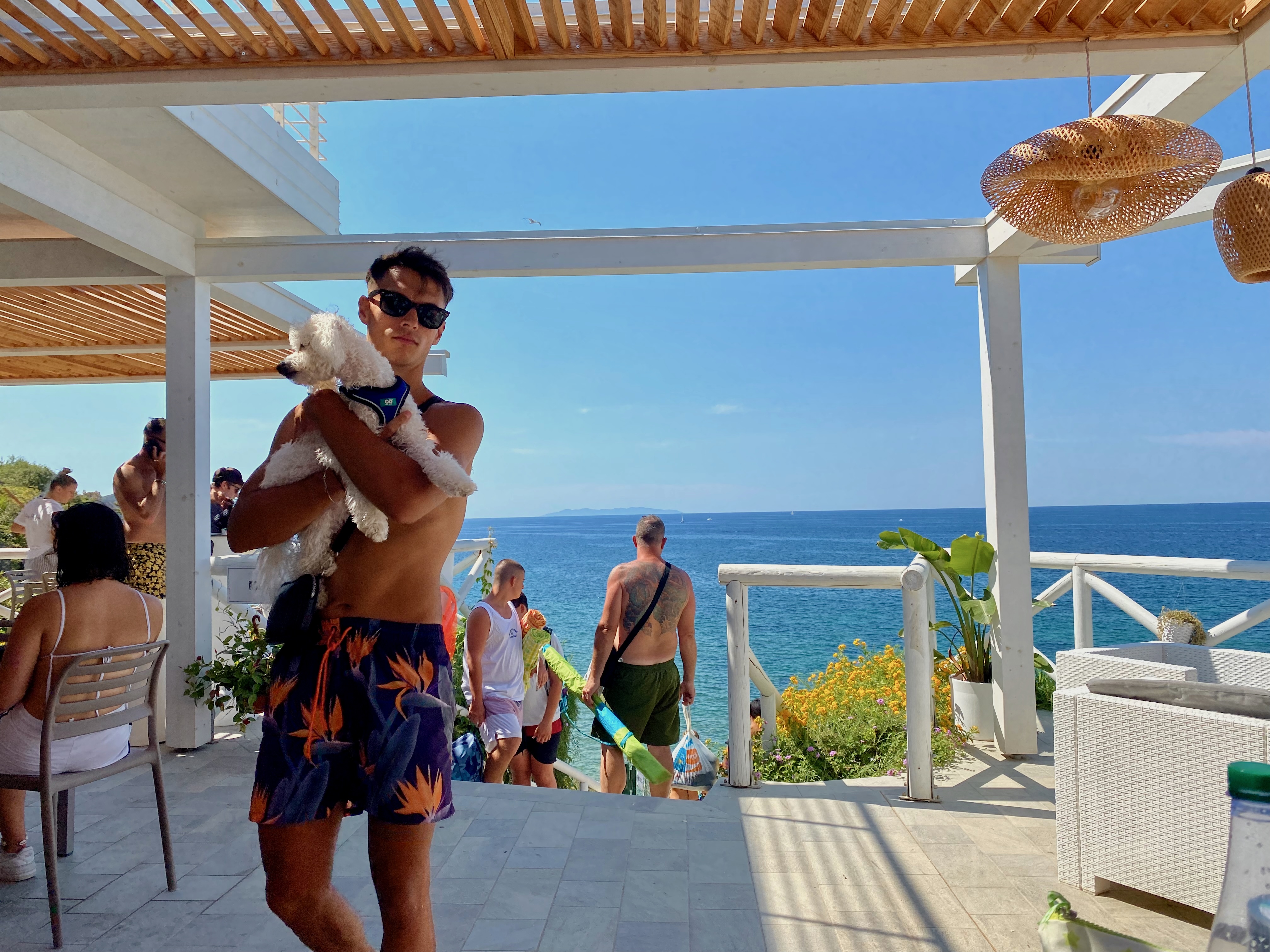 Hund im Urlaub am Meer als Symbol für Einreisebestimmungen vor der Reise