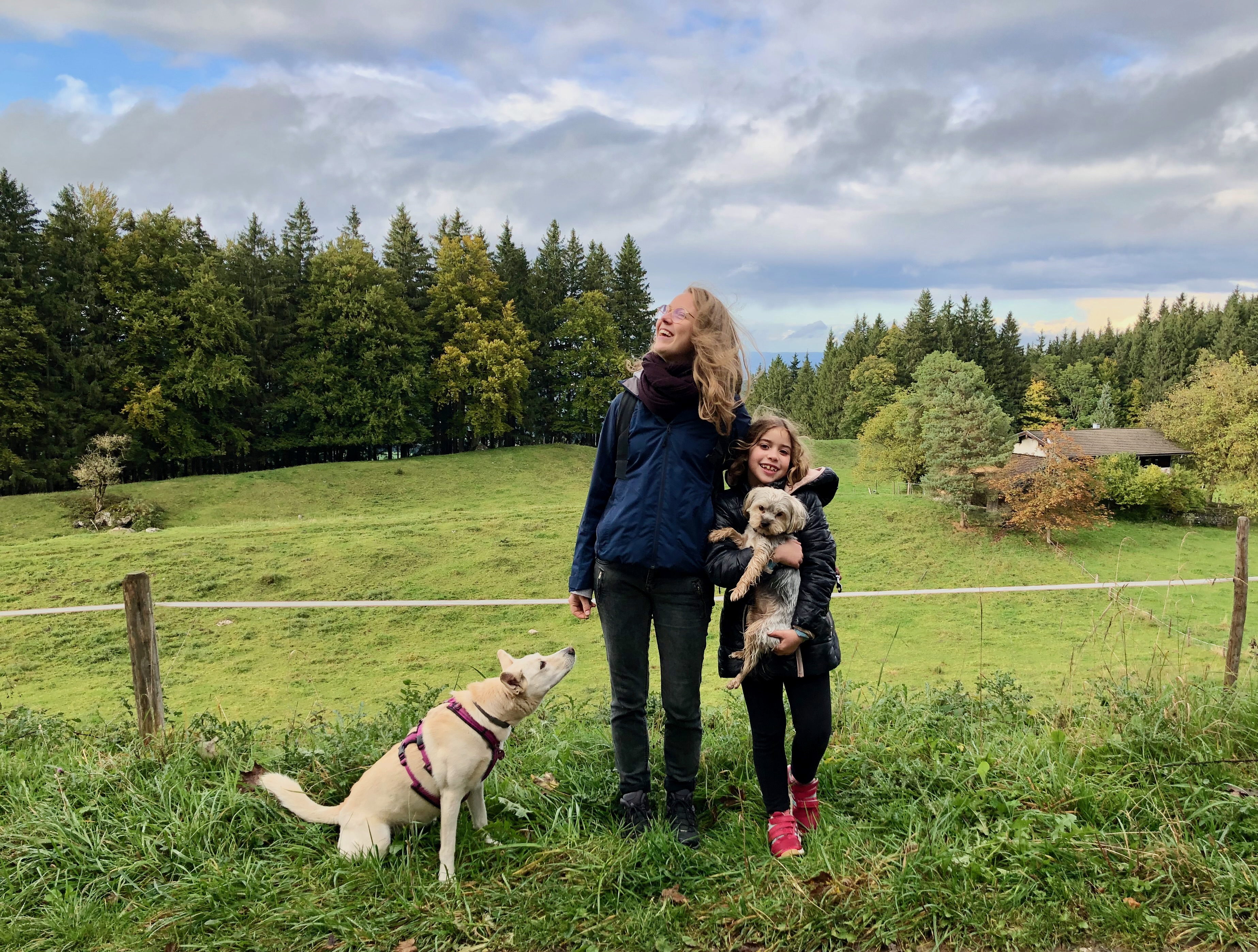 Familie mit zwei Hunden in der Natur beim Urlaub mit Hund, für den wichtige Reisedokumente wie der EU-Heimtierausweis vorbereitet werden