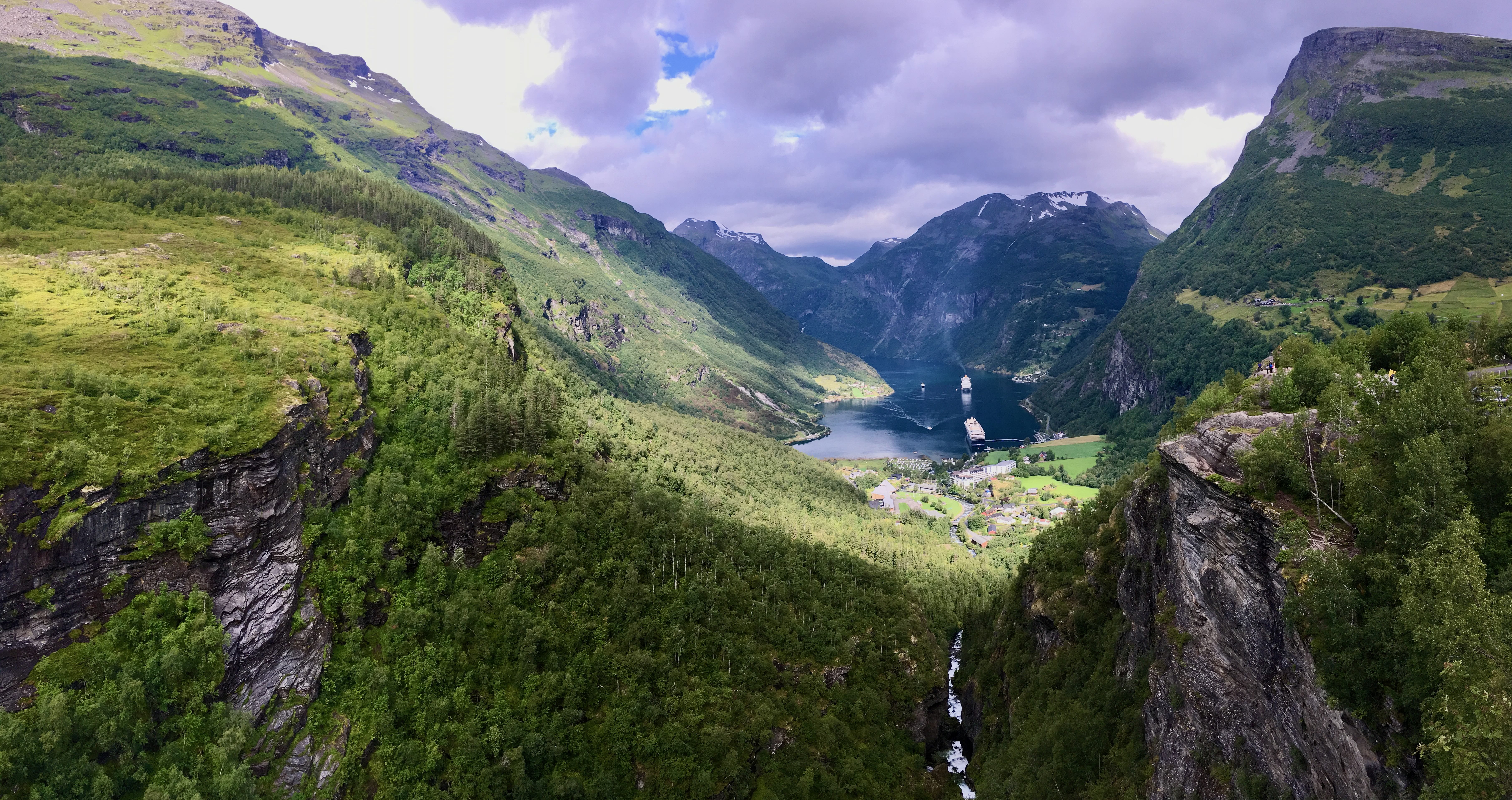 Kreuzfahrt Norwegen mit Hund mit Blick auf einen Fjord, grüne Berge und ruhige Natur