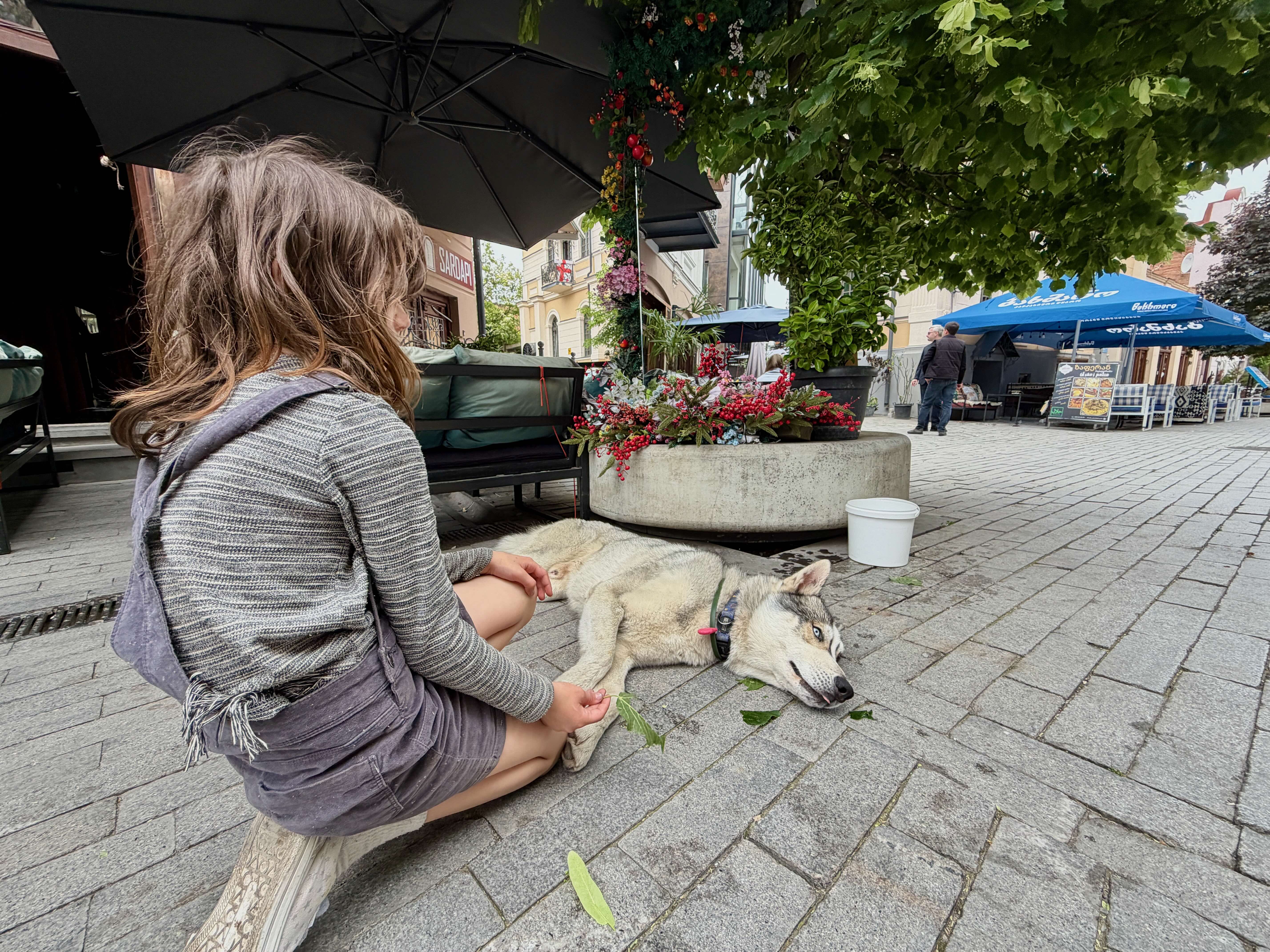 Kind mit Husky beim entspannten Landgang in einer Altstadt während einer Hundekreuzfahrt